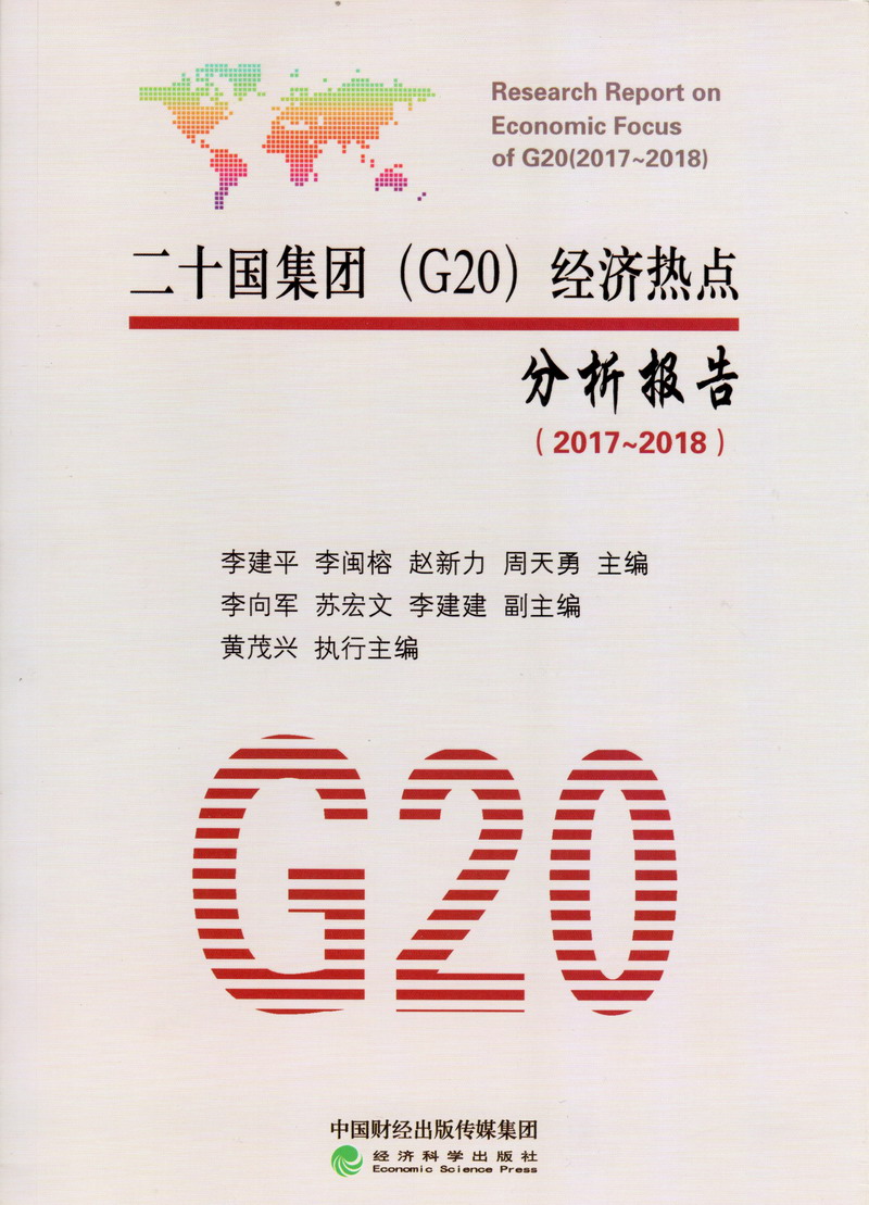 啊啊啊不要射网站二十国集团（G20）经济热点分析报告（2017-2018）